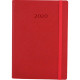 Ежедневник 2020 А5 Optima Cross O25235_Красный