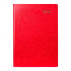 Ежедневник 2021 Leo Planner А5 Aldento PU 25201*_Красный (PU, 384+2 стр)