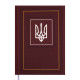 Ежедневник 2021 Buromax A5 Nation BM.2199_Коричневый
