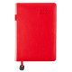 Ежедневник 2024 Leo Planner А5 City 25243*_Красный