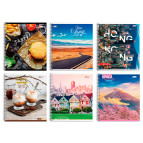 Тетрадь на спирали А5 96л. Бриск СТВ-22