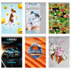 Блокнот на спирали А5 80л. верх Бриск СБВ-12