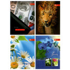 Блокнот А6 48л. твердая картонная обложка Скат ТП-3