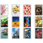 Тетрадь на спирали А5 80л. твердая картонная обложка Скат ТПП-2