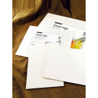 Холст на картоне Phoenix 40*60см 100% хлопок 330г/м2 E 5310-40*60