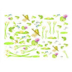 Декупажная карта-бумага 50*70см 99013 Лягушки, цветы-калы