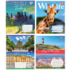 Тетрадь школьная А5+ 168*203мм 36л. 1 Вересня Yes