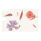 Бумага ручной работы URSUS А4 80г/м Ботаника с бутон. и лист. Бутоны UR-14572204R