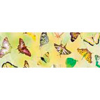 Калька URSUS А4 115г/м Бабочки Желтый UR-50514601R