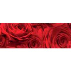 Калька URSUS А4 115г/м Розы Красные UR-50614604R