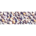 Калька URSUS А4 115г/м Море Ракушки UR-50634603R