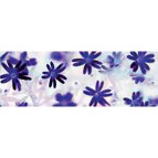 Картон URSUS А4 300г Флора Маргаритки UR-53134602R