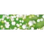 Картон URSUS А4 300г Флора Ландыши UR-53134605R