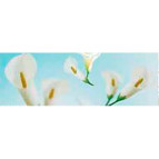 Картон URSUS А4 300г Флора Калы UR-53134610R