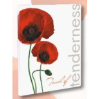 Папка с 20 файлами А4 LEO Мак L5130