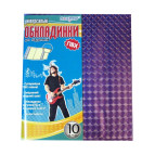 Обложки для книг набор 10кл ПОЛИМЕР ПВХ 210532/230532