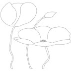 Картина раскраска с контурами на холсте, с красками 1 ВЕРЕСНЯ 30*30см Маки 950401