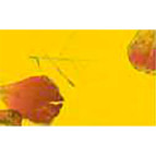 Бумага ручной работы URSUS А4 80г/м желтая с вкраплениями Роза UR-14132201R