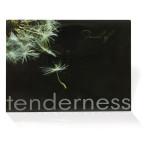 Папка-конверт А4 с кнопкой LEO Одуванчик L5028