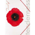 Папка А4 с резинкой пластик LEO Мак L5131