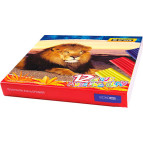 Пластилин 8цв. Economix AFRICA со стеком 160г 60608