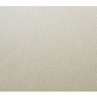 Бумага для акварели Гознак А1 200г/м2 1 лист Жженая, фактура Яичная скорлупа