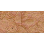 Бумага ручной работы URSUS А4 250г/м Под кожу Светло-Коричневая UR-14432270R