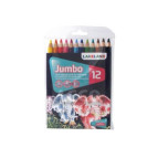 Карандаши цветные 12цв. Derwent Lakeland Jumbo D-33326