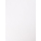 Фетр поделочный (вискоза) 150г/м2 20х30см 150г Heyda Белый 40000