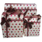 Пакет подарочный бумажный LULU в270*ш230*т125мм 94101 коробка