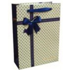 Пакет подарочный бумажный LULU в310*ш240*т120мм 22-8M