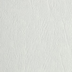 Бумага для акварели Гознак А3 200г/м2 1 лист Белая тисн Кожа БТК/А3 ГКТ350К