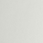 Бумага для акварели Гознак А3 200г/м2 1 лист Белая тисн Скорлупа БТС/А3 ГКТ350С