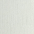 Бумага для акварели Гознак А4 200г/м2 1 лист Белая тисн Холст БТХ/А4