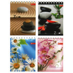 Блокнот на спирали А6 40л. Скат УФ Лак 60г ЗК-11