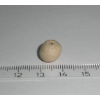 Заготовка из дерева Бусина 10 мм отверстие 4 мм КАБУ-БН 104