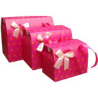 Пакет подарочный бумажный LULU в220*ш215*т140мм GH002L коробка