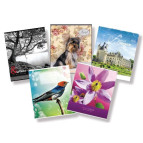 Тетрадь школьная А5+ 168*203мм 18л. ШКОЛЯРИК