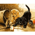 Картина раскраска по номерам на холсте - 40*50см Идейка КН285 Щенки на рыбалке