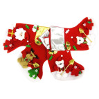 Сувенир Новогодний сапожок средний 24см 80209