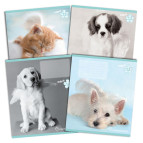 Тетрадь школьная А5+ 168*203мм 12л. Kite мод 235 Rachael Hale в косую линию R14-235K