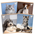 Тетрадь школьная А5+ 168*203мм 18л. Kite мод 237 Rachael Hale в линию R14-237K