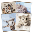 Тетрадь школьная А5+ 168*203мм 24л. Kite мод 238 Rachael Hale в клетку R14-238K