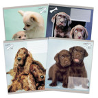 Тетрадь школьная А5+ 168*203мм 24л. Kite мод 239 Rachael Hale в линтю R14-239K