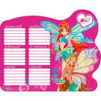 Расписание уроков 38*32 см 1 Вересня ламинированное двухстороннее 470277 Винкс-1