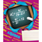 Тетрадь школьная предметная А5+ 168*203мм 48л. 1 ВЕРЕСНЯ в клетку, Алгебра