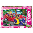 Пазлы DankoToys 260 эл. DT C260-09-06 330*230
