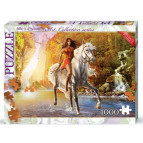 Пазлы DankoToys 1000 эл. DT C1000-08-02 680*475