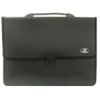 Портфель А4 Saldo 2 отд. пластик 623/421