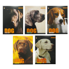 Блокнот А5 60л. YES склейка Дог 890868